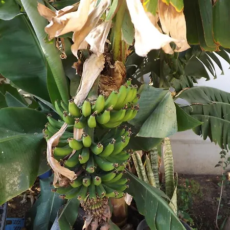 Paradise Alojamento de Acomodação e Pequeno-almoço