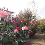 Paradise
