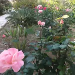 Paradise 住宿加早餐酒店 3*