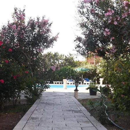 Paradise 2*