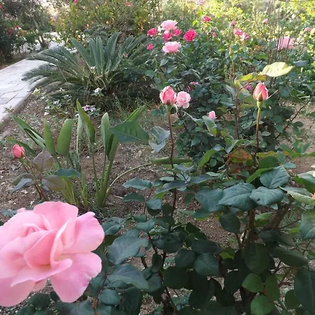 Paradise Bed & Breakfast 3*