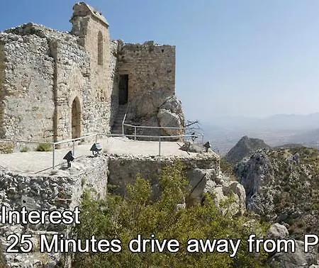 Paradise Отель типа 