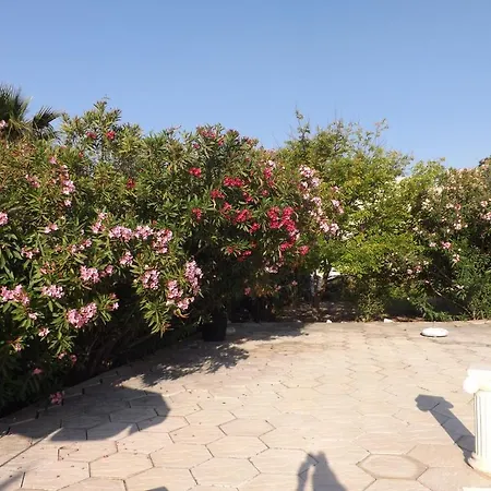 Bed & Breakfast Paradise Kazaphani