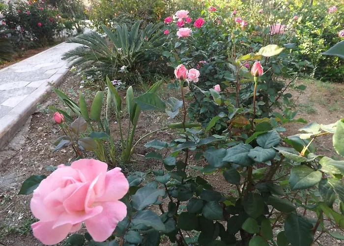 Paradise Bed & Breakfast 4*